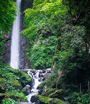 岐阜エリア 画像