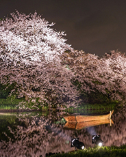 神奈川エリア 画像