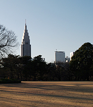 東京エリア 画像